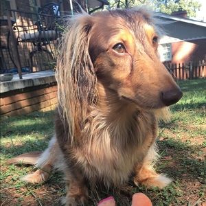 Meet your Posher, Brooke